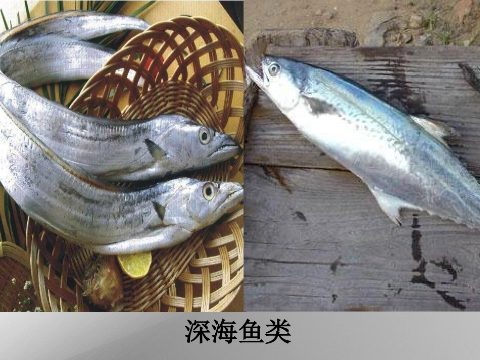 初二物理液体的压强课件[共49页]_第3页