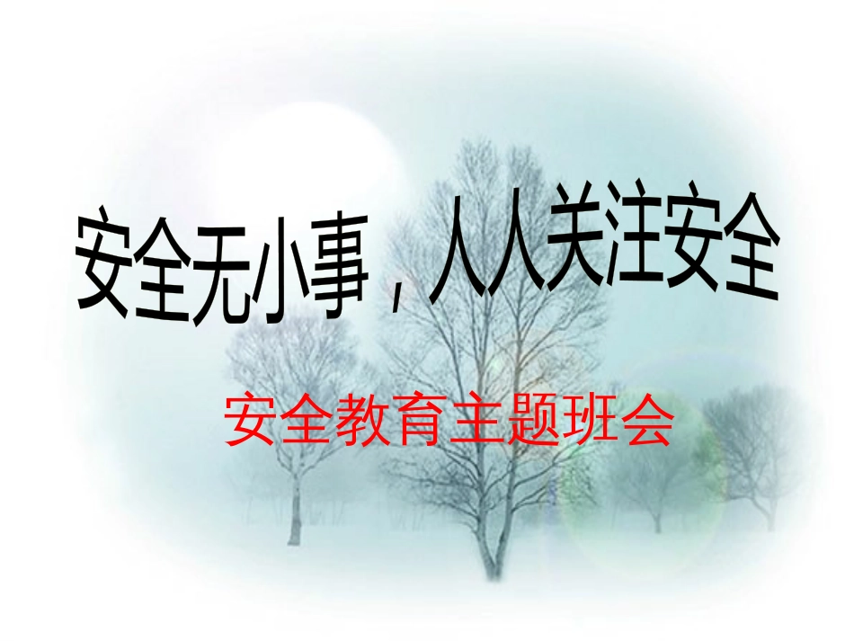 安全教育主题班会ppt课件(完整版)_第1页