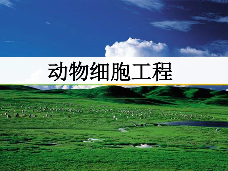动物细胞工程高三一轮复习超好_第1页
