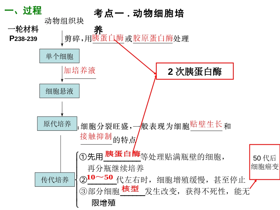 动物细胞工程高三一轮复习超好_第2页