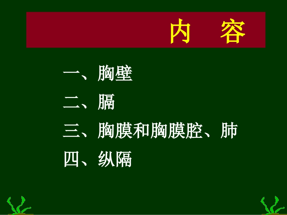 胸部解剖-图谱_第2页