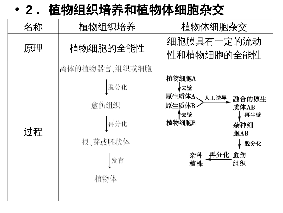 高中生物选修三《专题三细胞工程》复习课件_第3页