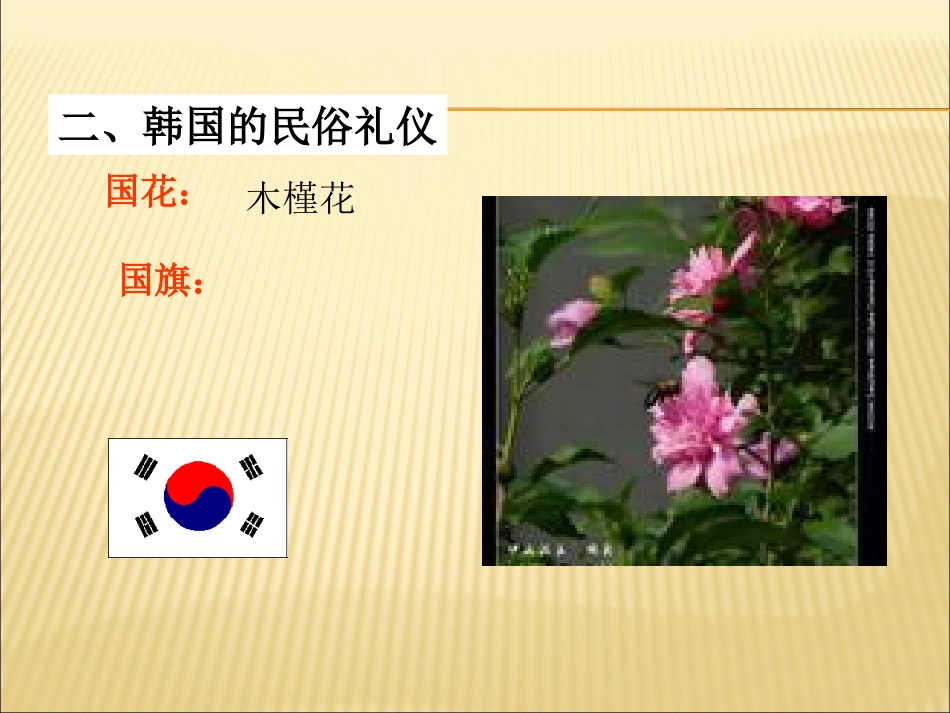 韩国礼仪[共54页]_第2页
