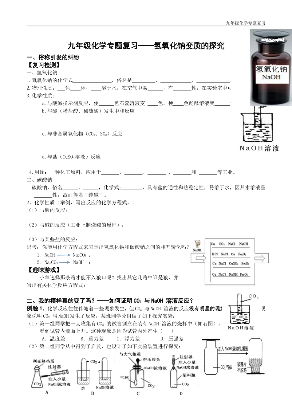 化学中考专题复习——氢氧化钠变质的探究用119_第1页