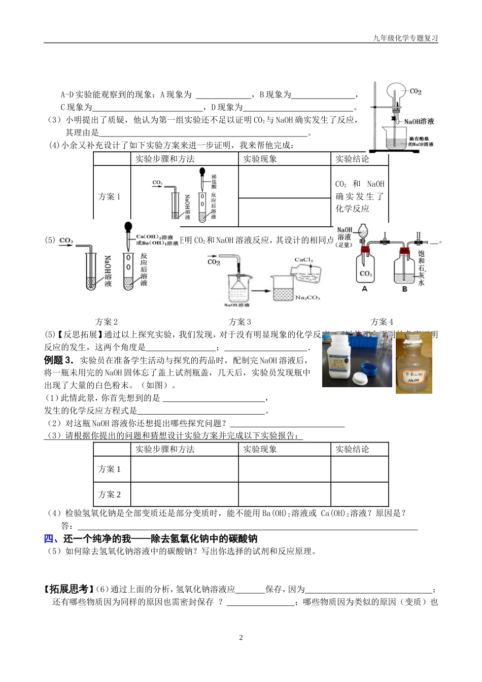 化学中考专题复习——氢氧化钠变质的探究用119_第2页