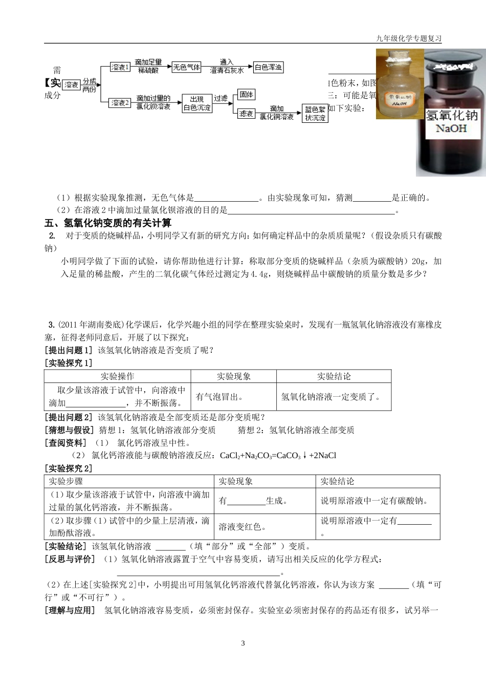 化学中考专题复习——氢氧化钠变质的探究用119_第3页