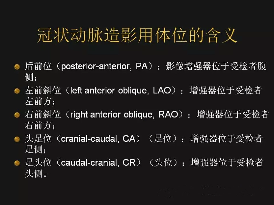 冠状动脉解剖精细到每一个分段[共34页]_第3页