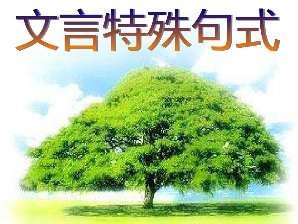 高三语文一轮复习课件：文言文特殊句式2人教_第1页