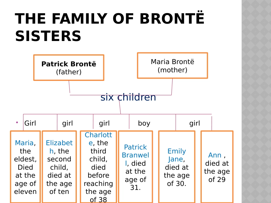 Bront[共27页]_第3页