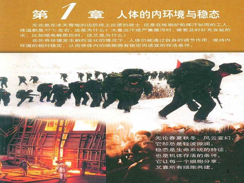 高中生物《第一章 第一节 细胞生活的环境》课件1 新人教版必修3_第1页
