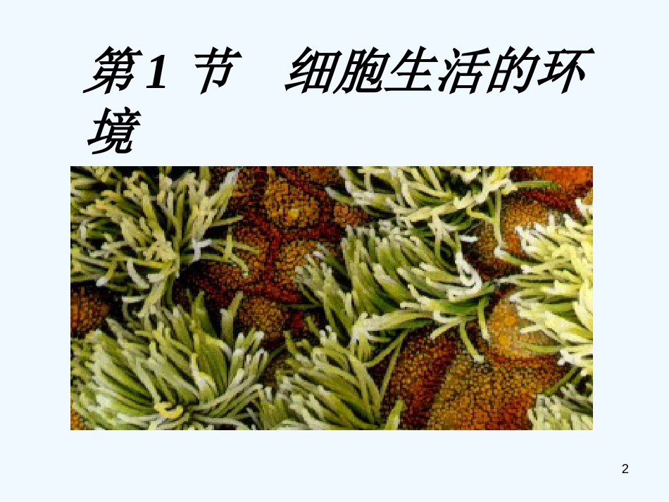 高中生物《第一章 第一节 细胞生活的环境》课件1 新人教版必修3_第2页