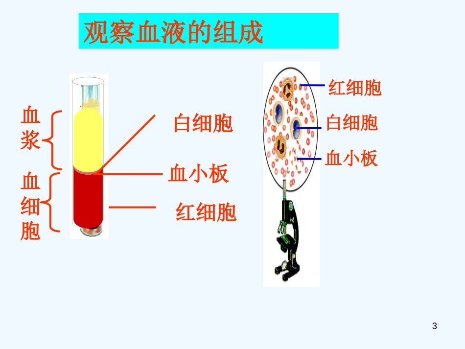 高中生物《第一章 第一节 细胞生活的环境》课件1 新人教版必修3_第3页