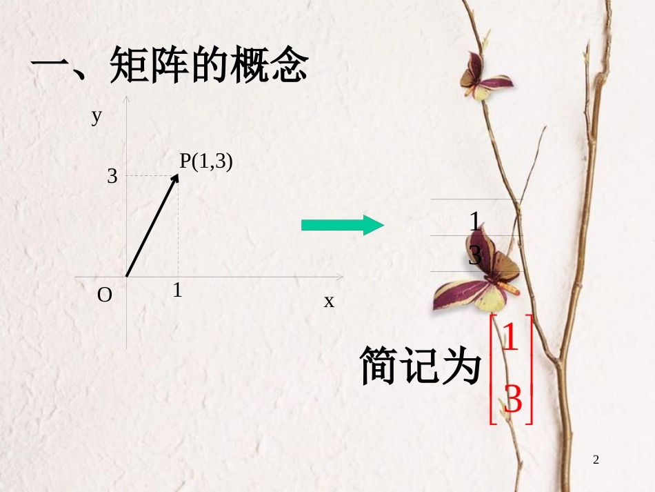 江苏省南通市高中数学 矩阵的概念及二阶矩阵与平面向量的乘法课件 新人教A版选修4-2_第2页