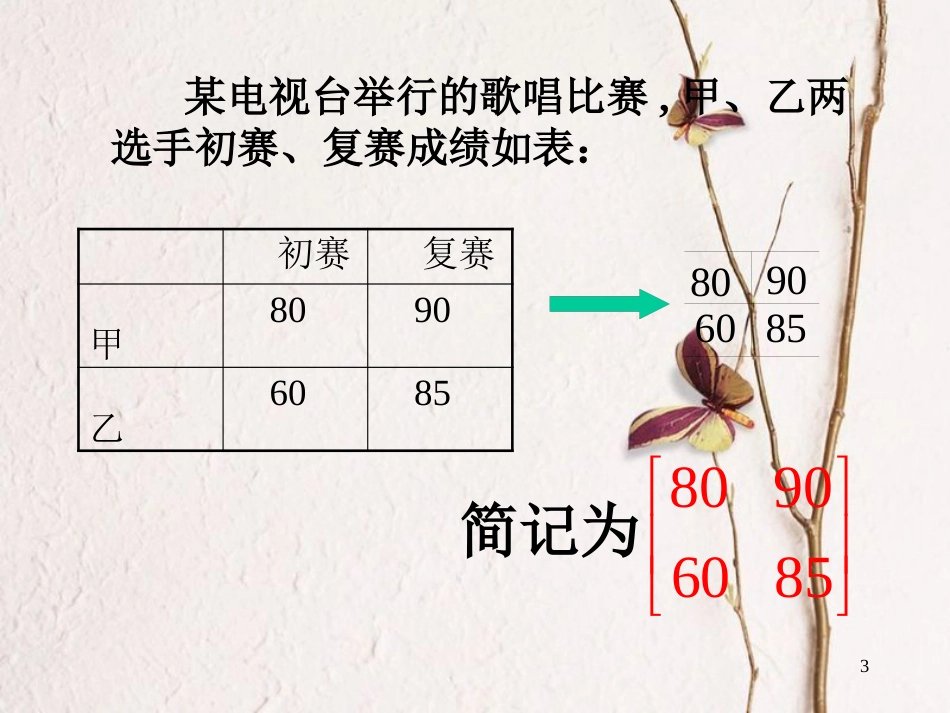 江苏省南通市高中数学 矩阵的概念及二阶矩阵与平面向量的乘法课件 新人教A版选修4-2_第3页