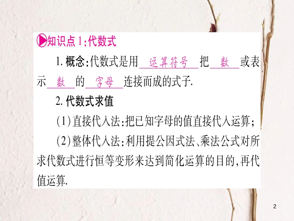 （湖南专版）中考数学总复习第一轮考点系统复习第1章数与式第2节整式与因式分解课件_第2页