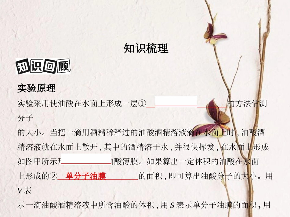 （北京专用）2019版高考物理一轮复习第十四章热学第3讲实验用油膜法估测分子的大小课件_第2页