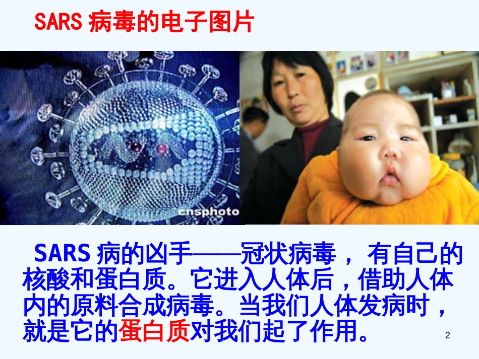 高考化学 羧酸氨基酸蛋白质课件_第2页