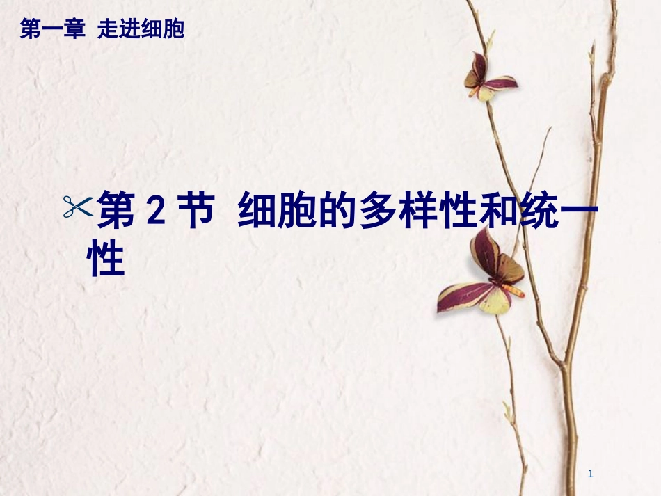 贵州省遵义市高一生物 细胞的多样性和统一性课件_第1页
