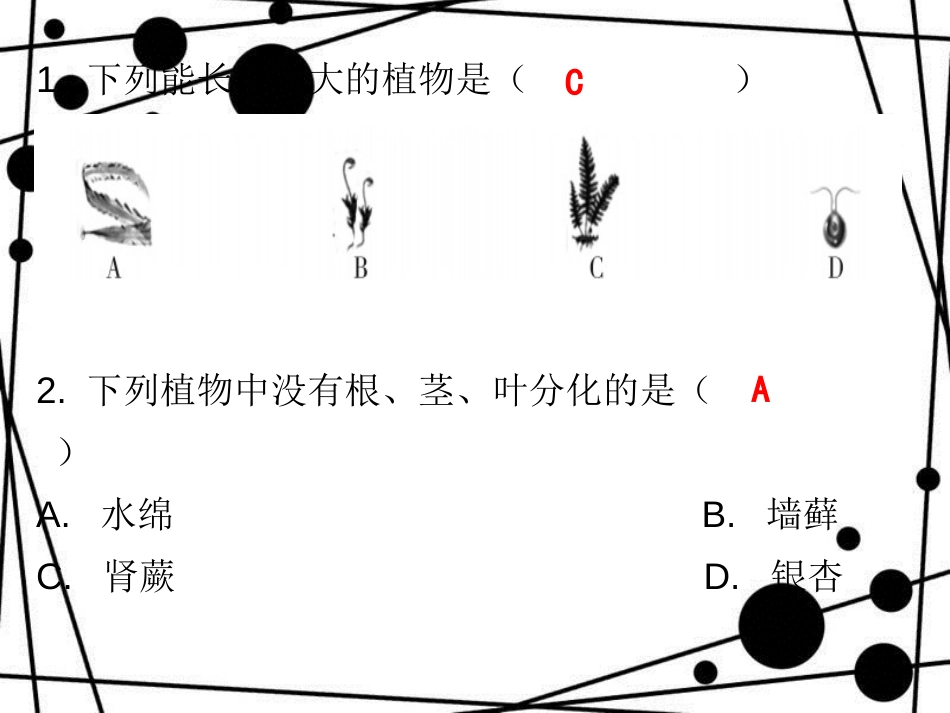 七年级生物上册 第三单元 第一章 第一节 藻类、苔藓和蕨类植物课堂十分钟课件 （新版）新人教版_第2页