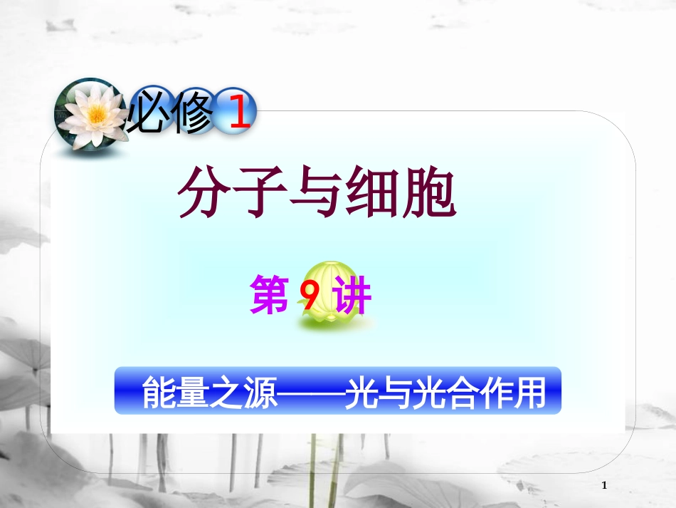 （山西专用）高三生物一轮复习 第9讲 能量之源――光与光合作用课件 新人教版必修1_第1页