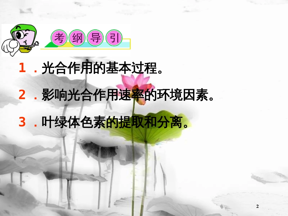 （山西专用）高三生物一轮复习 第9讲 能量之源――光与光合作用课件 新人教版必修1_第2页