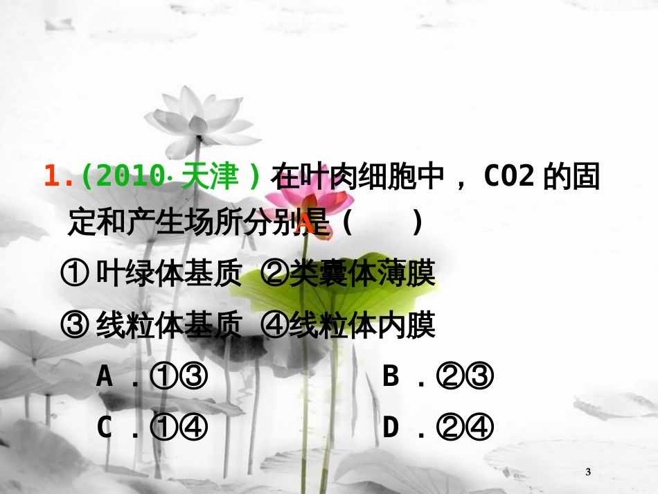 （山西专用）高三生物一轮复习 第9讲 能量之源――光与光合作用课件 新人教版必修1_第3页