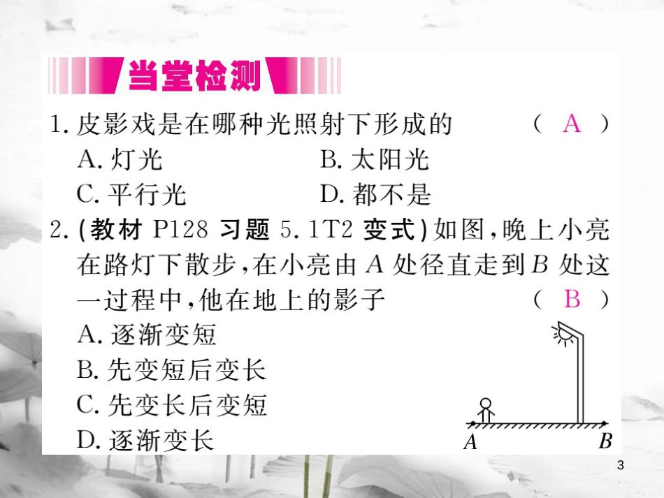 （江西专用）九年级数学上册 5.1 投影 第1课时 投影的概念与中心投影讲练课件 （新版）北师大版_第3页