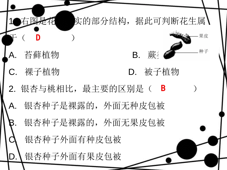 七年级生物上册 第三单元 第一章 第二节 种子植物课堂十分钟课件 （新版）新人教版_第2页