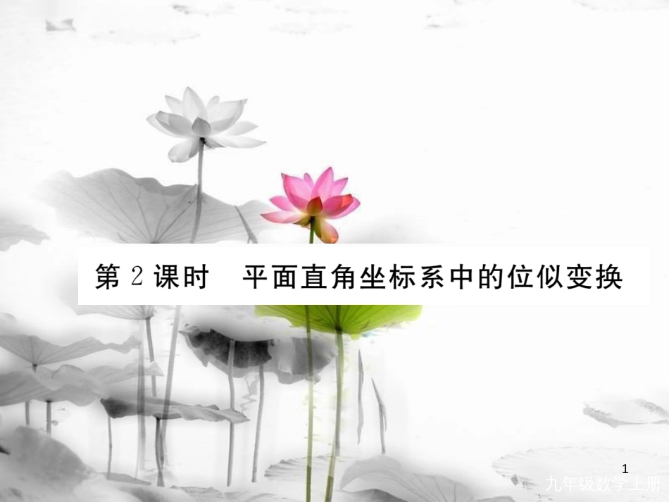 （河南专用）九年级数学上册4.8图形的位似第2课时平面直角坐标系中的位似变换作业课件（新版）北师大版_第1页