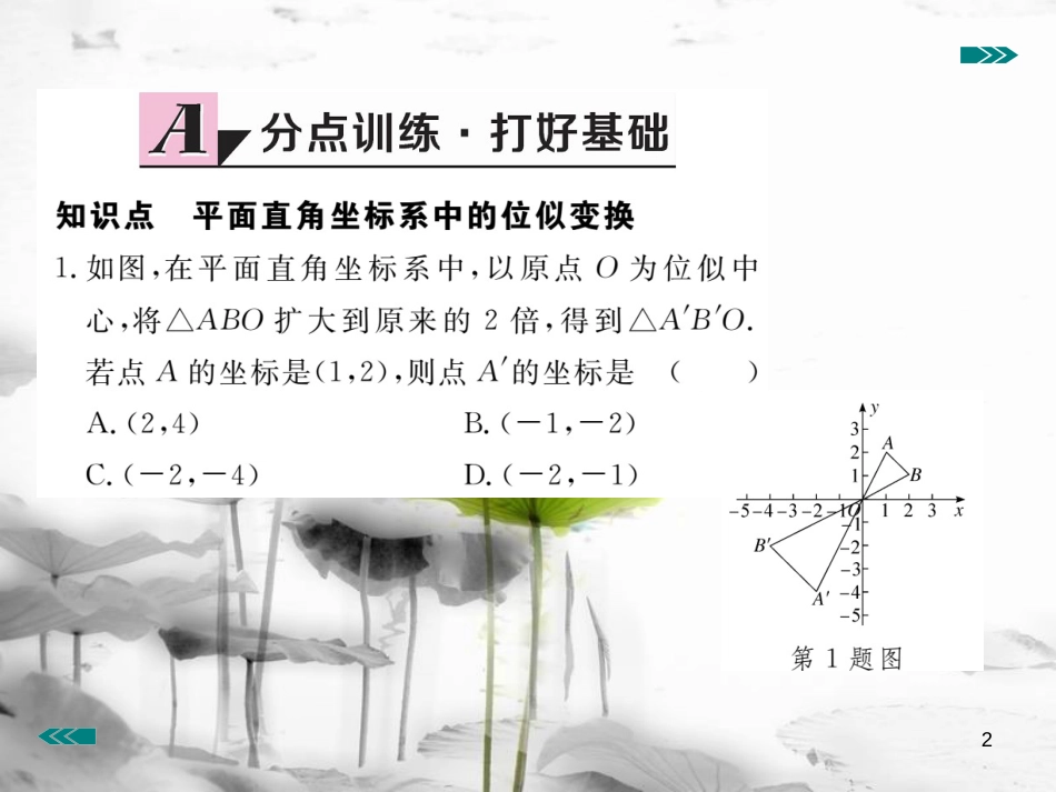 （河南专用）九年级数学上册4.8图形的位似第2课时平面直角坐标系中的位似变换作业课件（新版）北师大版_第2页