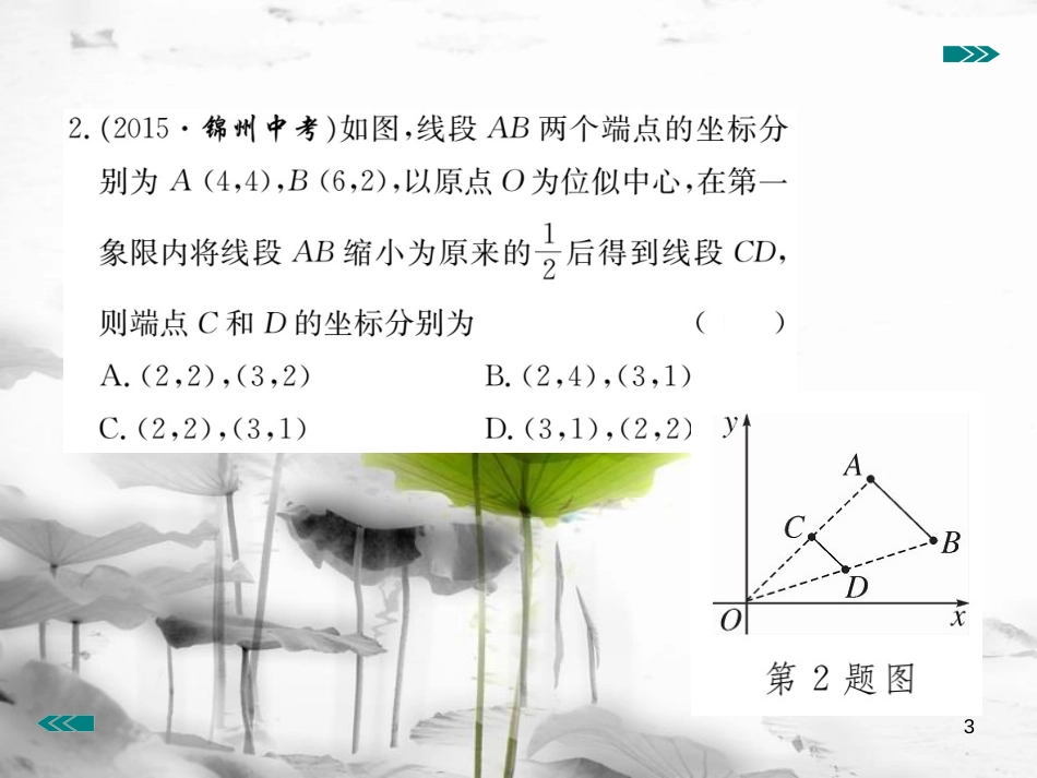 （河南专用）九年级数学上册4.8图形的位似第2课时平面直角坐标系中的位似变换作业课件（新版）北师大版_第3页