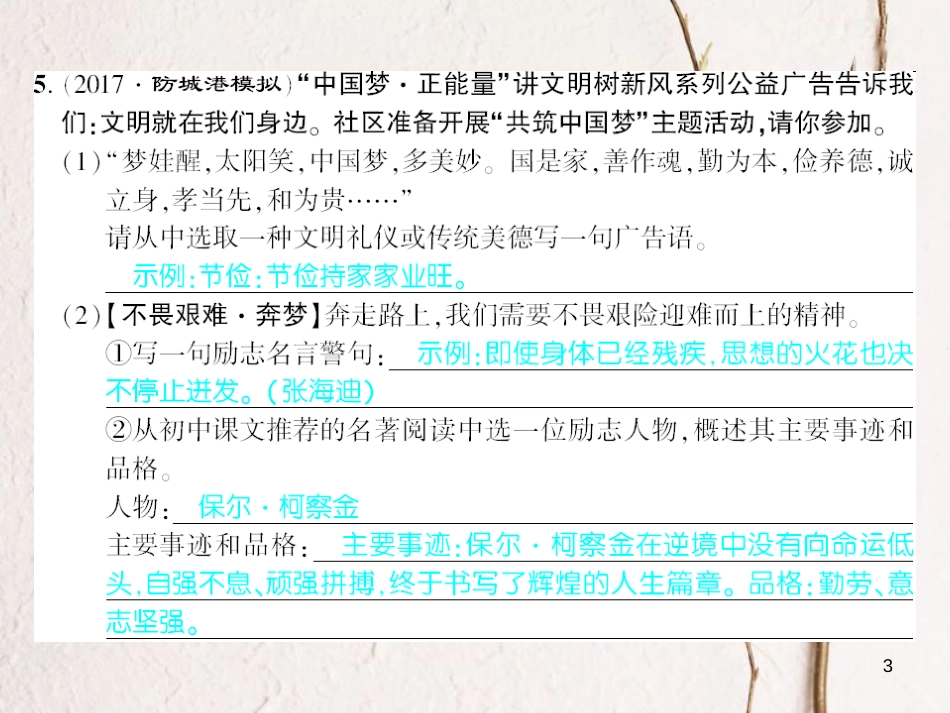 广西北部湾九年级语文上册 第二单元 6 纪念伏尔泰逝世一百周年的演说习题课件 （新版）新人教版_第3页