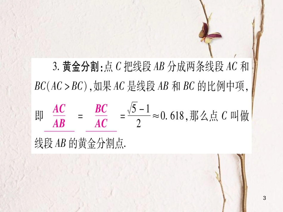 湖南省中考数学复习 第1轮 考点系统复习 第4章 三角形 第5节 相似三角形课件_第3页