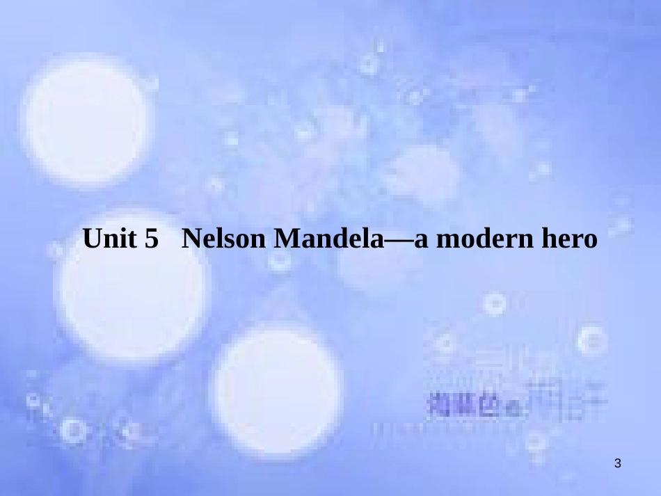 高三英语总复习 第一部分 回归教材 Unit 5 Nelson Mandela-a modern hero课件 新人教版必修1_第3页