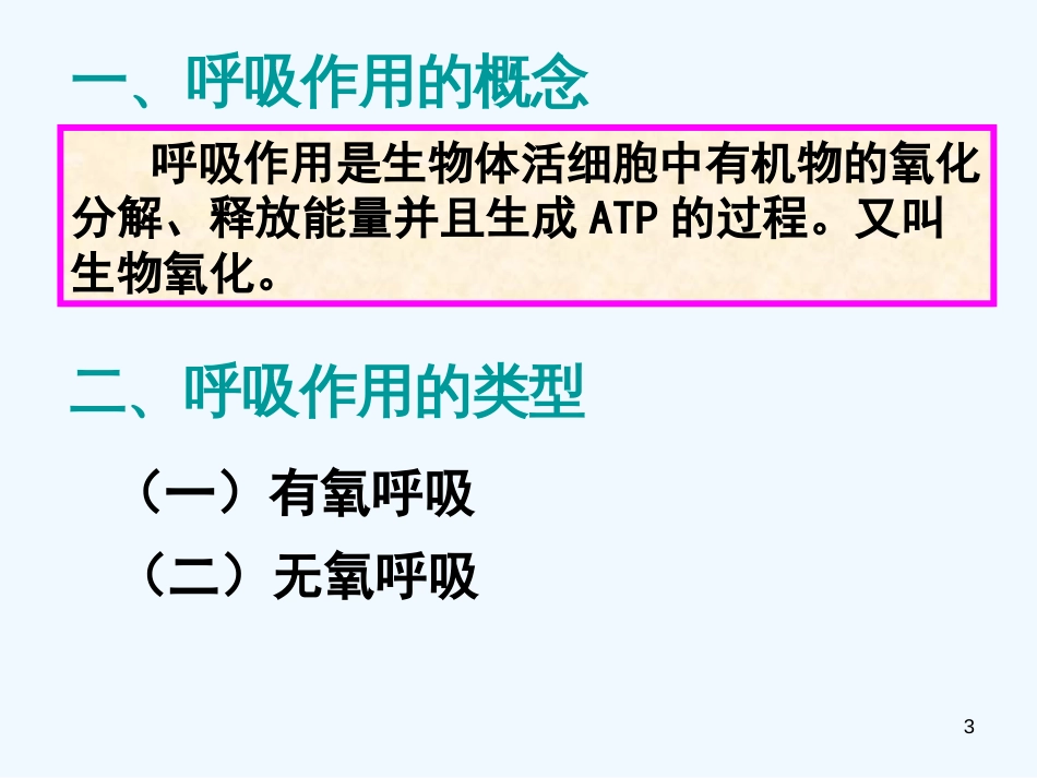 高中生物 第三节ATP的主要来源 细胞呼吸1课件 新人教版必修1_第3页