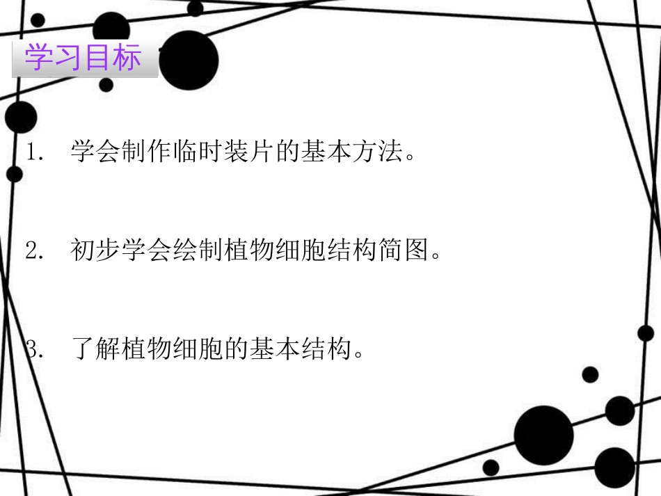 七年级生物上册 第二单元 第一章 第二节 植物细胞课件 （新版）新人教版_第2页