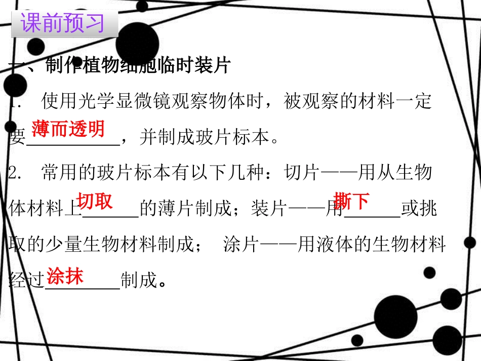 七年级生物上册 第二单元 第一章 第二节 植物细胞课件 （新版）新人教版_第3页