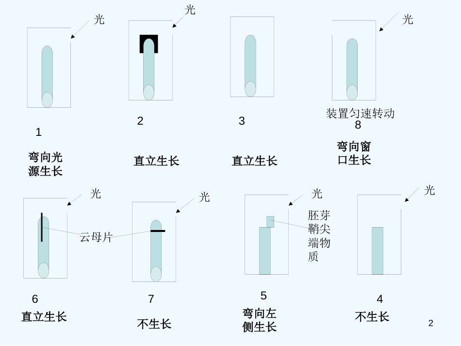 高中生物 生长素的生理作用课件 新人教版必修3_第2页