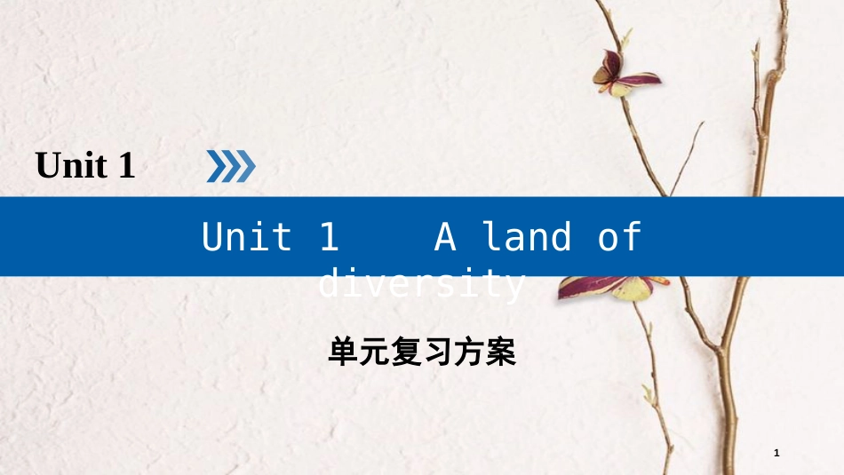 高中英语 Unit 1 A land of diversity单元复习方案课件 新人教版选修8_第1页