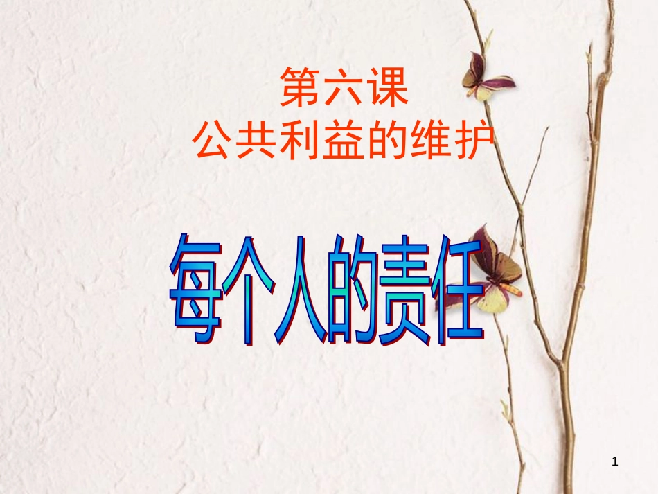 江西省定南县八年级政治下册 第二单元 公共利益 6《公共利益的维护》（第2课时）课件 教科版_第1页