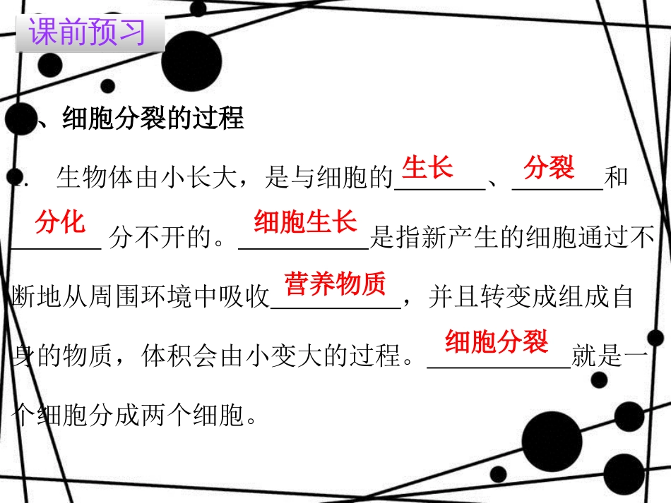 七年级生物上册 第二单元 第二章 第一节 细胞通过分裂产生新细胞课件 （新版）新人教版_第3页