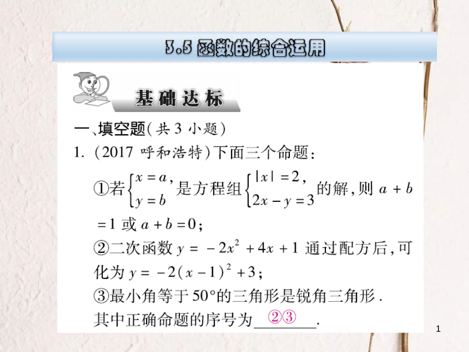 云南省中考数学总复习 第三章 函数 3.5 函数的综合运用课件_第1页