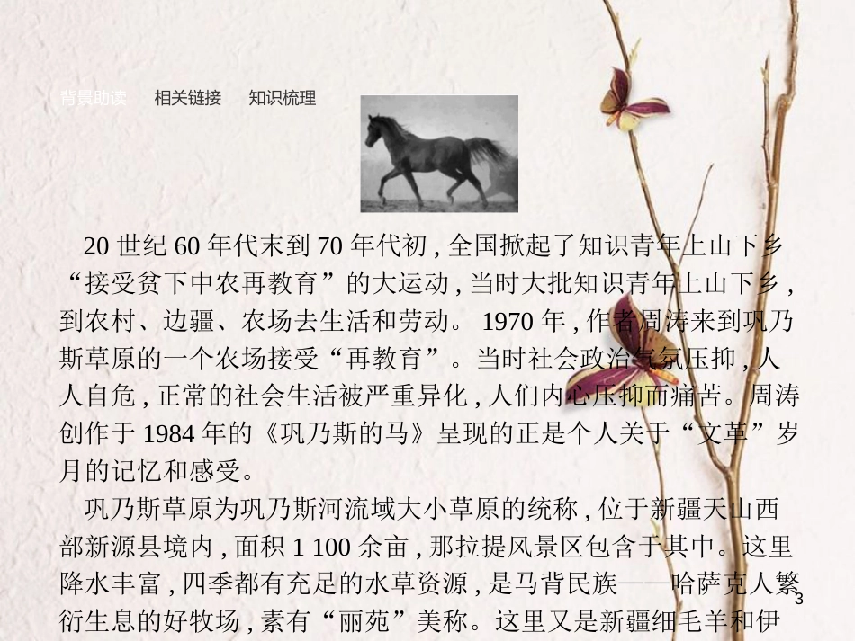 学考高中语文 10 巩乃斯的马课件 语文版必修2_第3页
