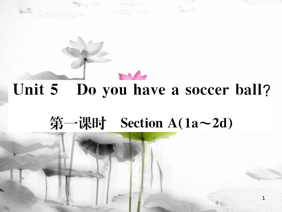 （浙江专版）七年级英语上册 Unit 5 Do you have a soccer ball（第1课时）课件 （新版）人教新目标版_第1页