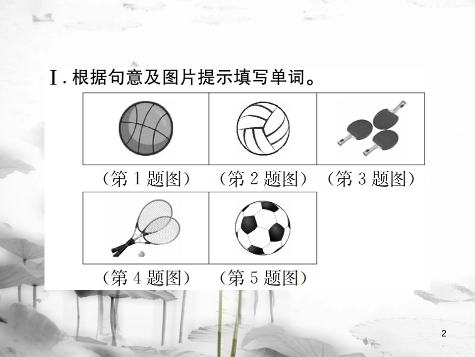 （浙江专版）七年级英语上册 Unit 5 Do you have a soccer ball（第1课时）课件 （新版）人教新目标版_第2页