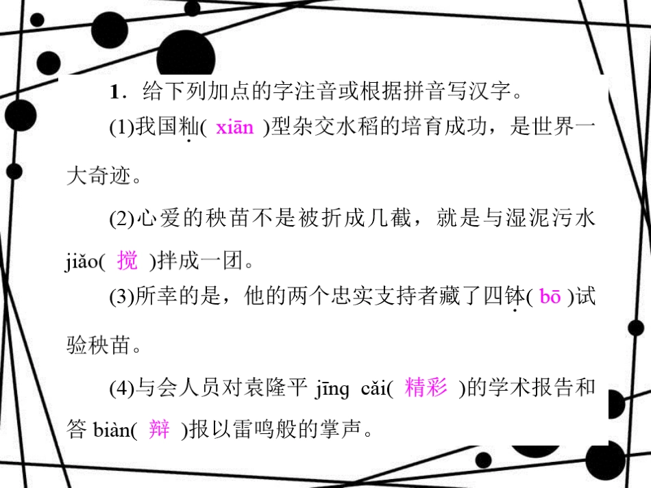 八年级语文上册 第三单元 11 杂交水稻之父 袁隆平习题课件 语文版_第2页