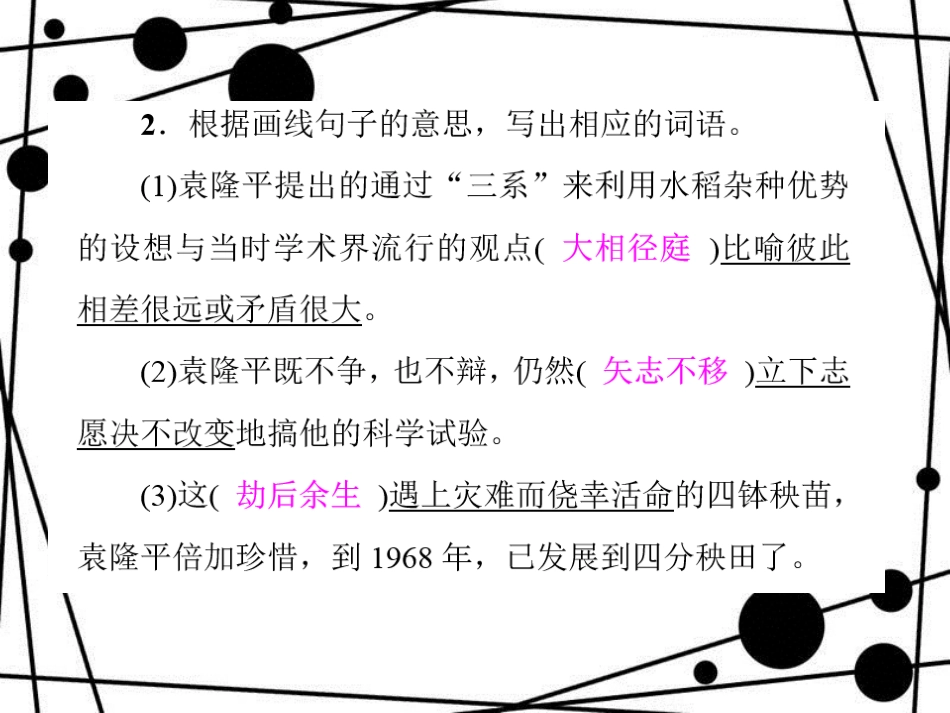 八年级语文上册 第三单元 11 杂交水稻之父 袁隆平习题课件 语文版_第3页