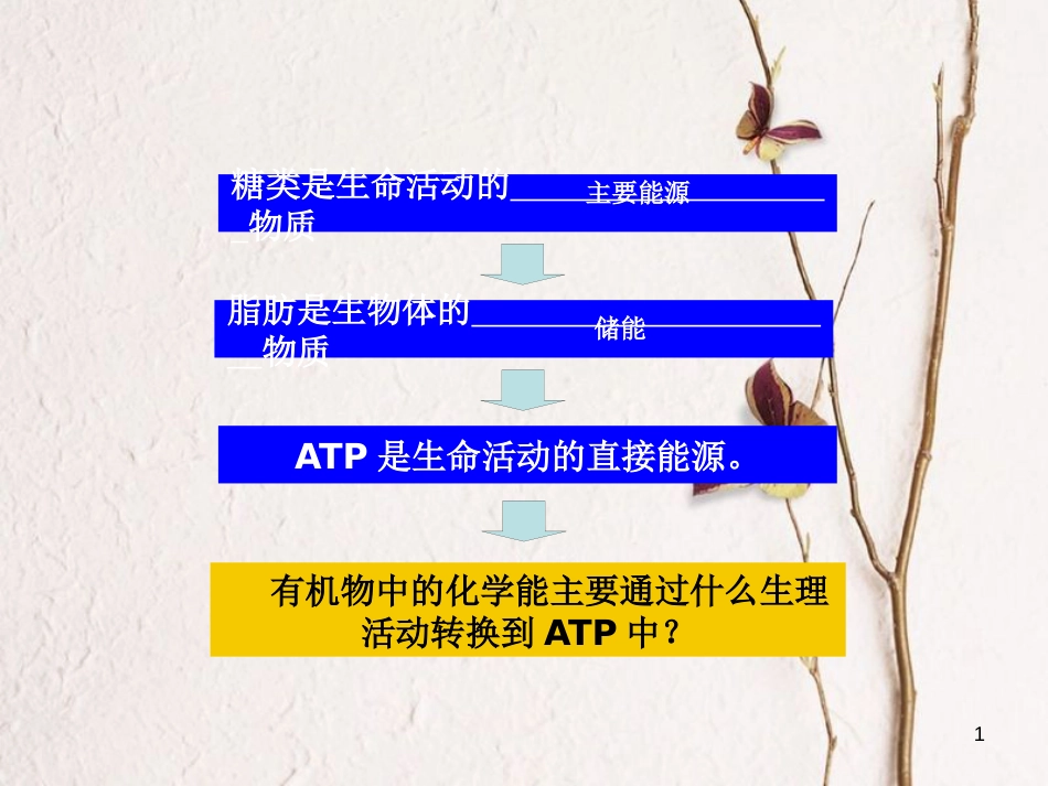 辽宁省北票市高中生物 第五章 细胞的能量供应和利用 5.3 ATP的主要来源-----细胞呼吸（1）课件 新人教版必修1_第1页