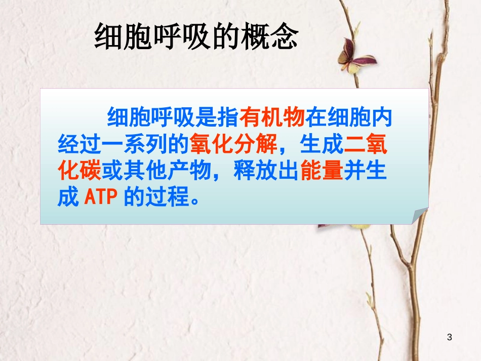 辽宁省北票市高中生物 第五章 细胞的能量供应和利用 5.3 ATP的主要来源-----细胞呼吸（1）课件 新人教版必修1_第3页
