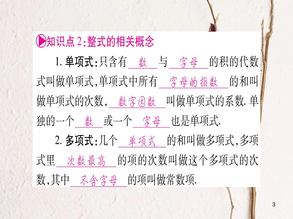 （安徽专版）中考数学总复习第一轮考点系统复习第1章数与式第2节整式与因式分解课件_第3页